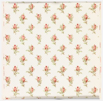 Sidewall by Ltd. Made by Cole and Son